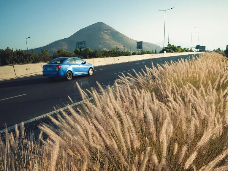 road and grass