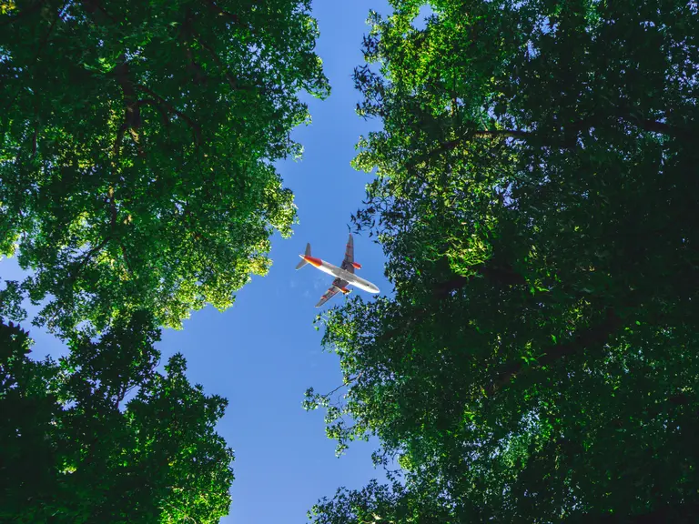 Cielo con aereo e alberi