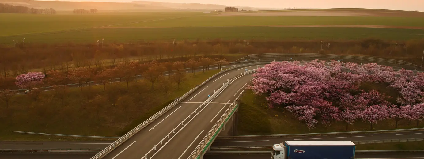 autostrada Francia camion aberi distesa di campi sole alba