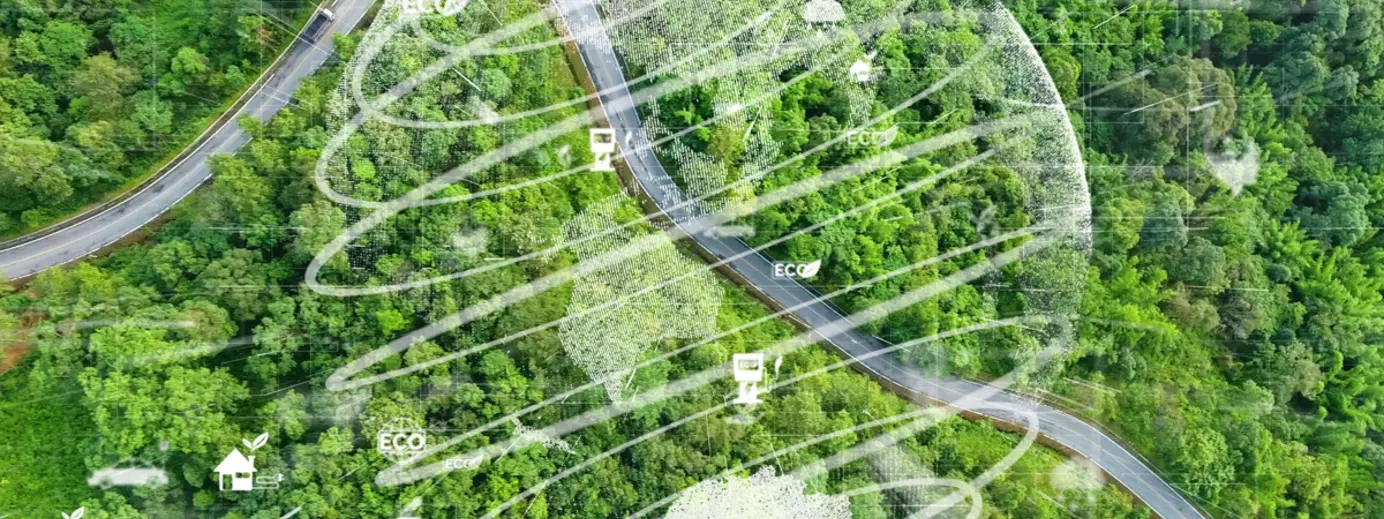 Strada immersa nel verde della natura